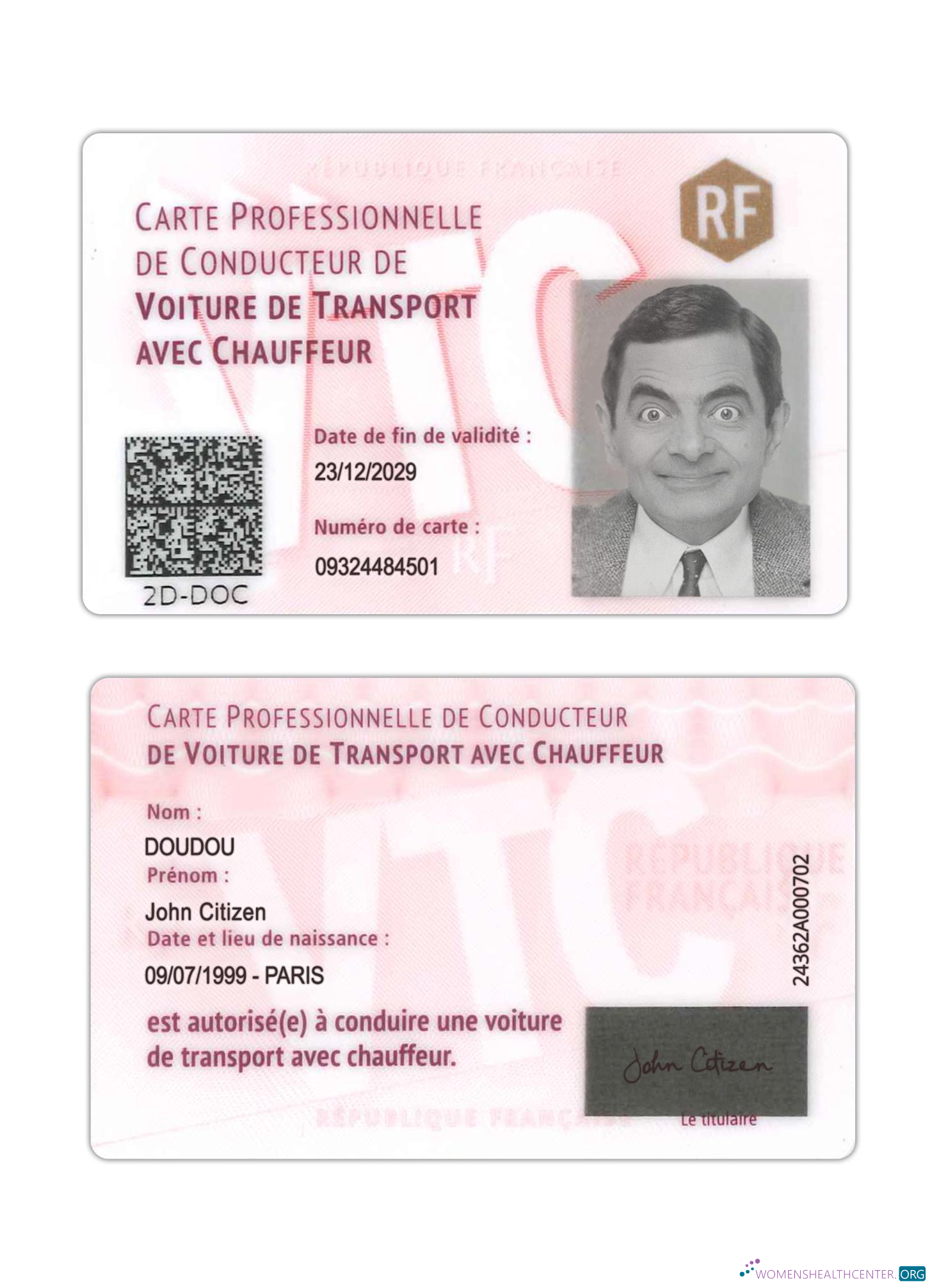 download France professional driver's card
